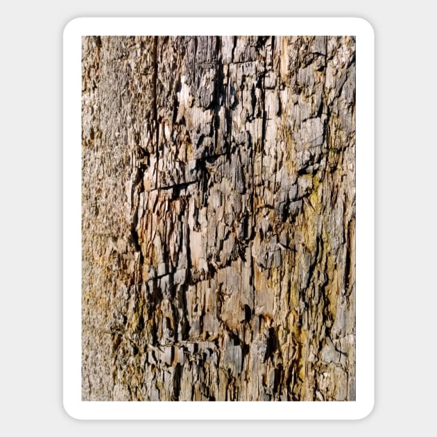 Crackled wood texture Sticker by Gaspar Avila